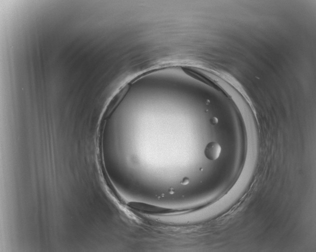 X0000058131005200509301948