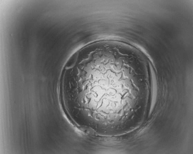 X0000058131007200509301948