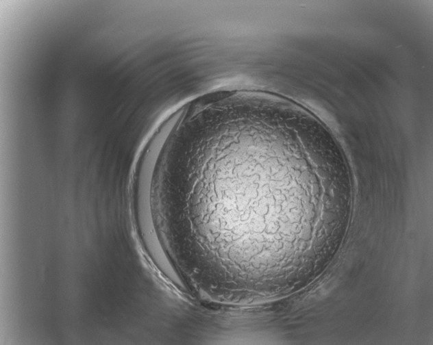 X0000058131008200509301948