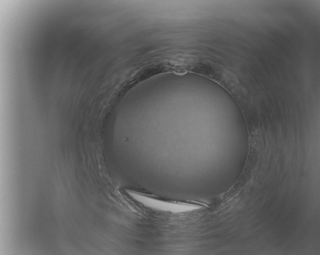 X0000058131009200509301947