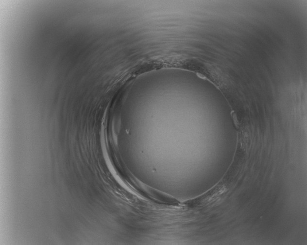 X0000058131010200509301947