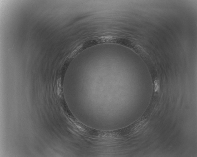 X0000058131011200509301947