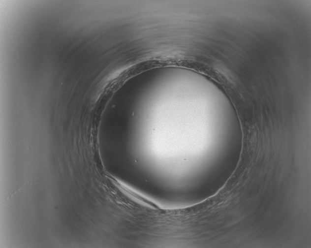 X0000058131016200509301947