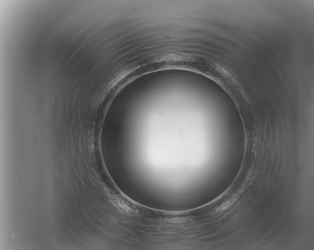 X0000058131017200509301947