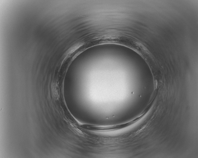 X0000058131018200509301947