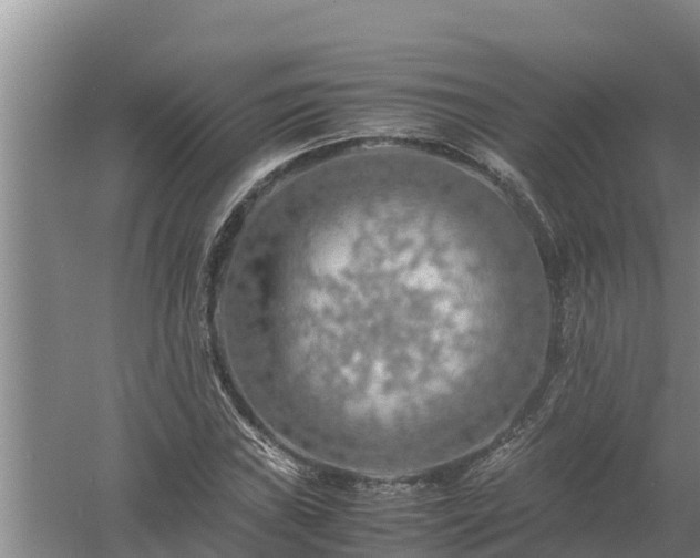 X0000058131019200509301947