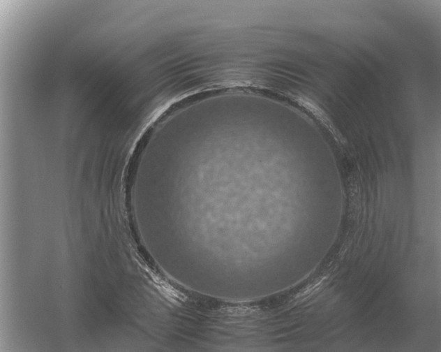 X0000058131023200509301947