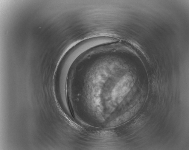 X0000058131024200509301947