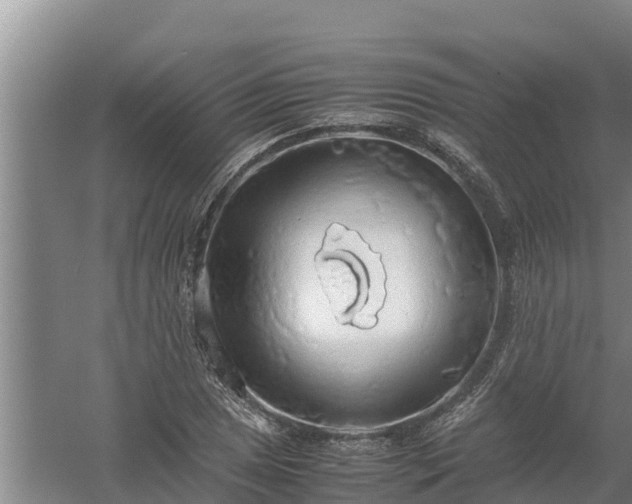 X0000058131025200509301947