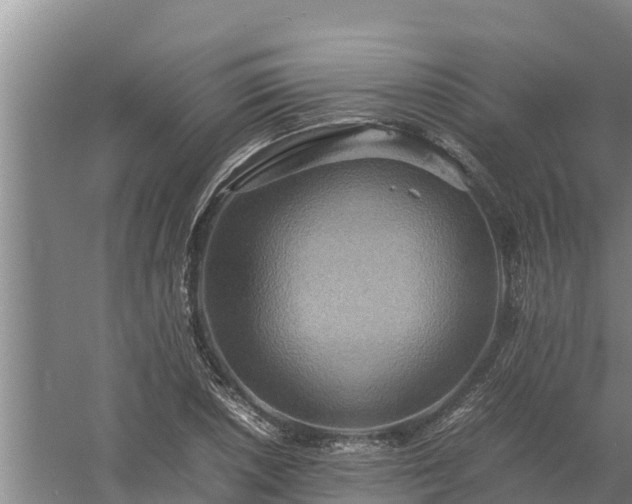 X0000058131026200509301947