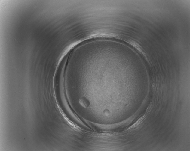 X0000058131030200509301947