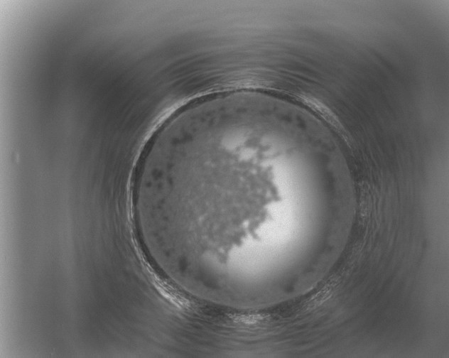 X0000058131031200509301947