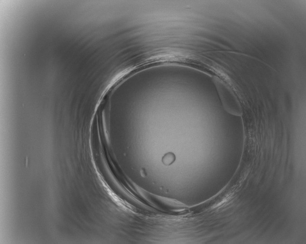 X0000058131034200509301947