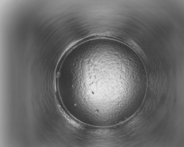 X0000058131036200509301947