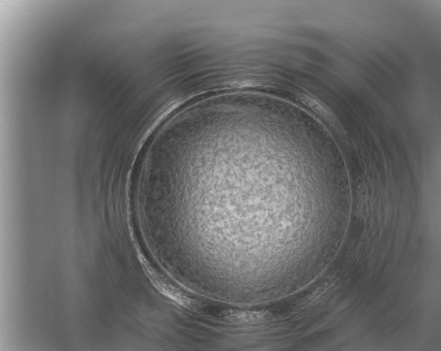 X0000058131039200509301947