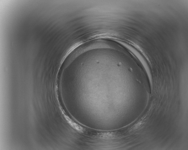 X0000058131042200509301947