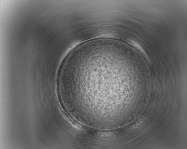 X0000058131043200509301947