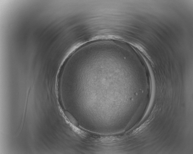 X0000058131046200509301947