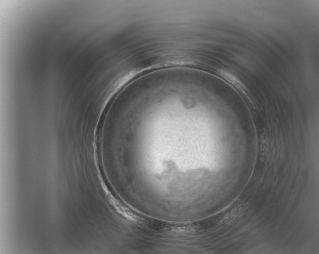 X0000058131047200509301947