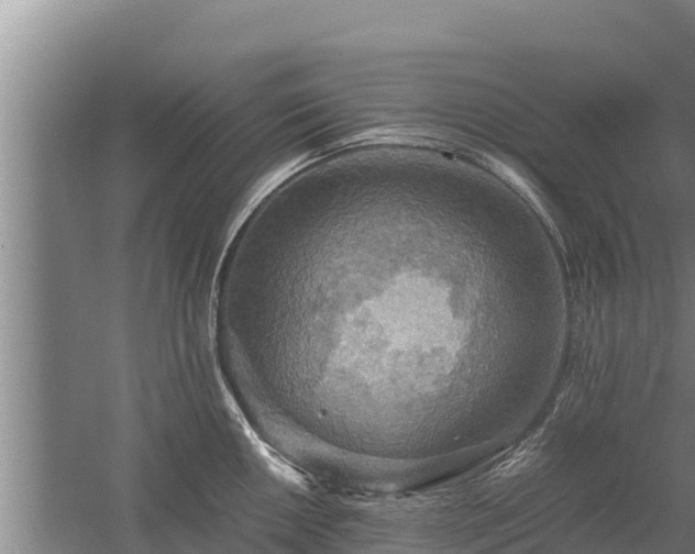 X0000058131050200509301948