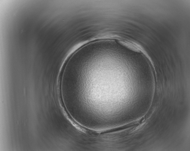 X0000058131053200509301948