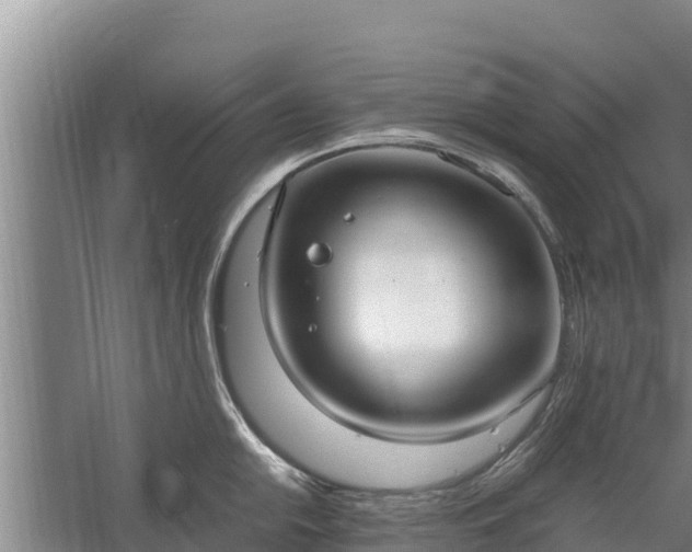 X0000058131054200509301948