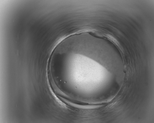 X0000058131055200509301948