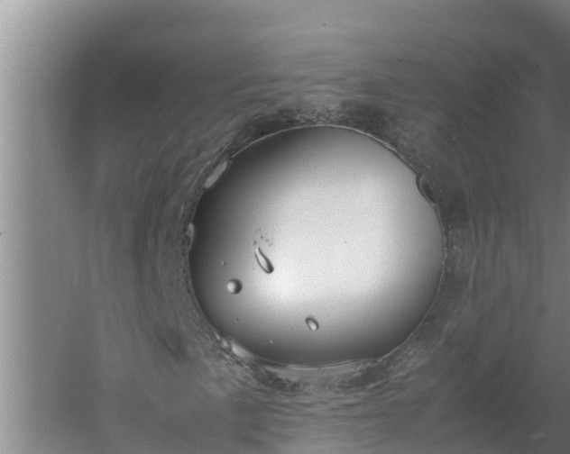 X0000058131057200509301947