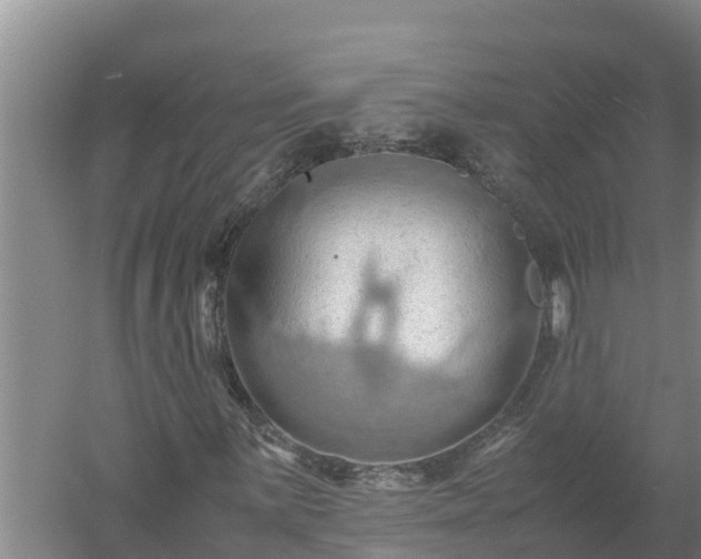 X0000058131059200509301947