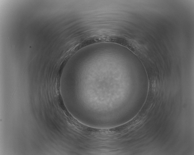 X0000058131060200509301947