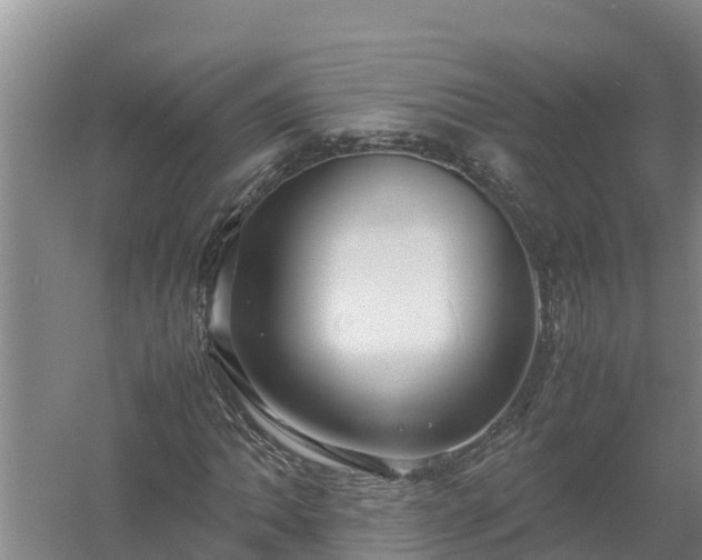 X0000058131062200509301947