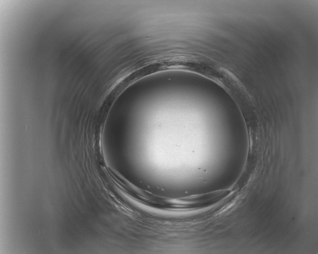 X0000058131065200509301947