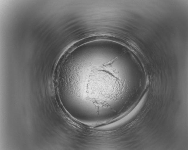 X0000058131068200509301947