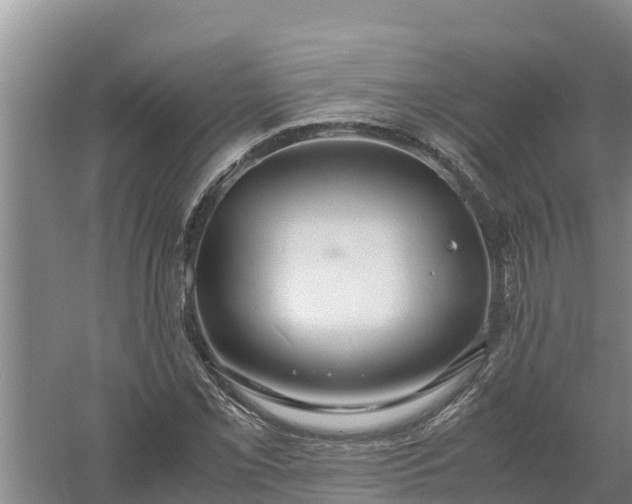 X0000058131069200509301947