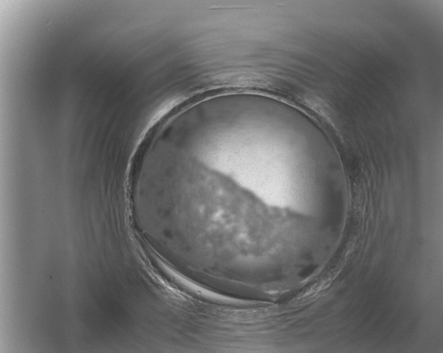 X0000058131071200509301947