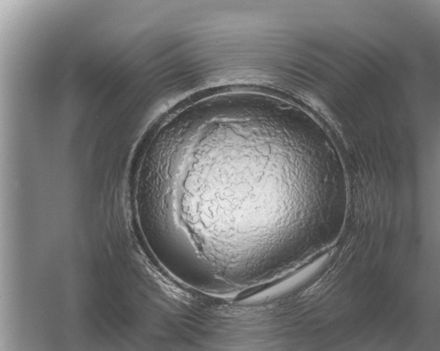 X0000058131072200509301947