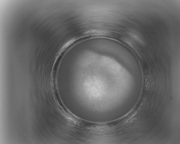 X0000058131074200509301947