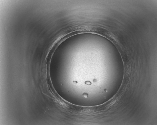 X0000058131075200509301947