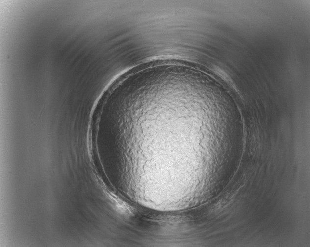 X0000058131076200509301947