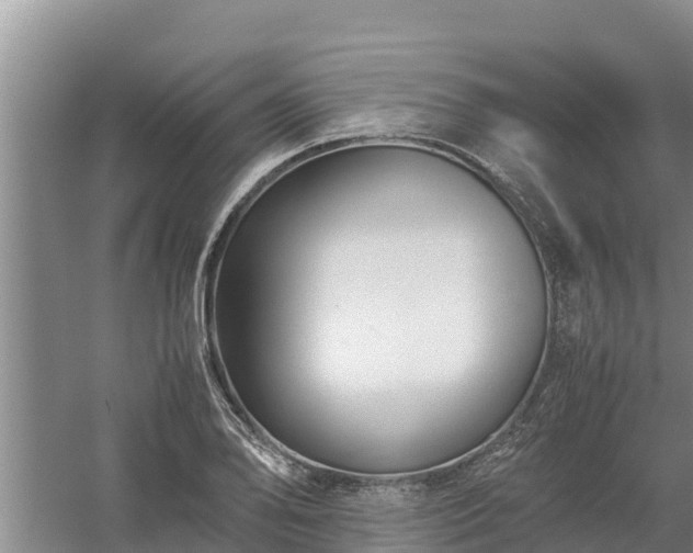 X0000058131078200509301946