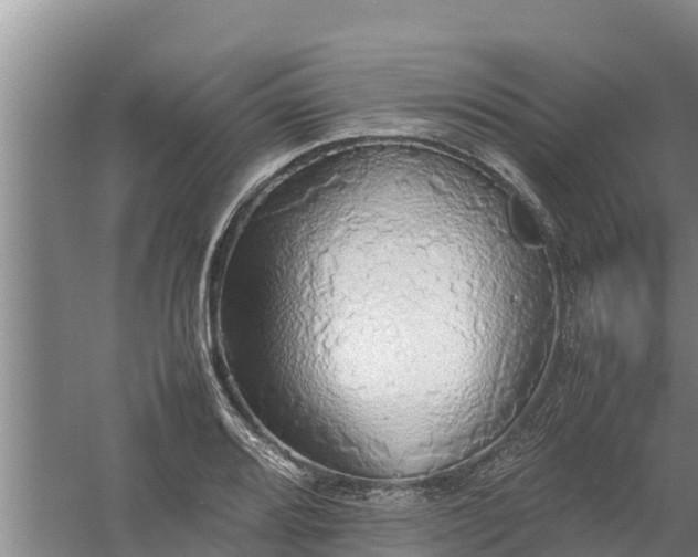 X0000058131080200509301946