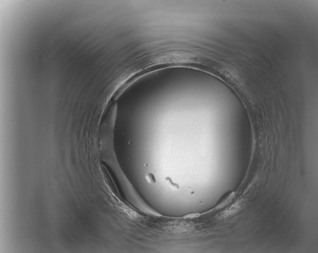 X0000058131081200509301946