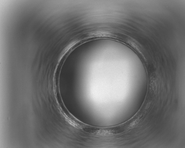 X0000058131082200509301946