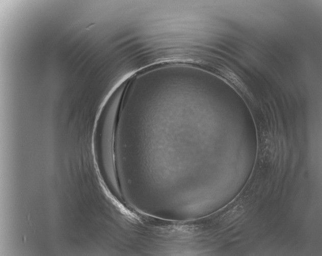 X0000058131084200509301946