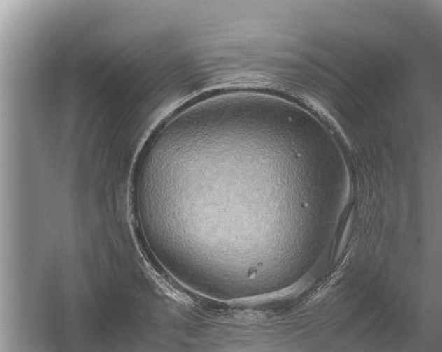 X0000058131085200509301946