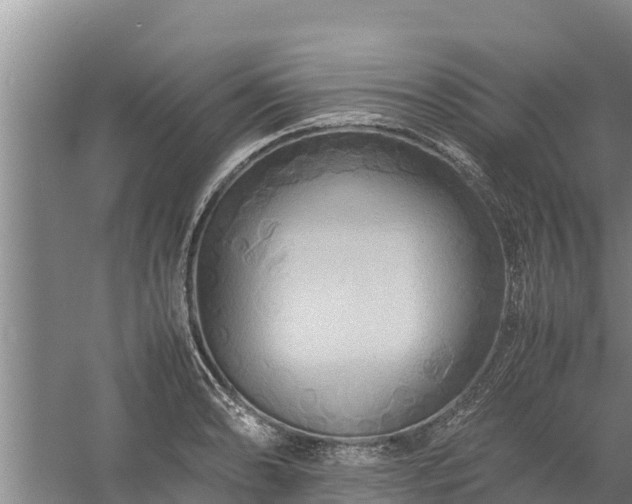 X0000058131086200509301946