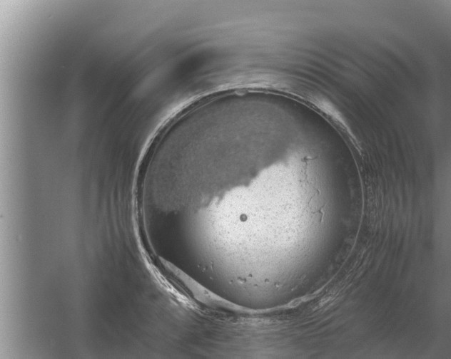 X0000058131088200509301946