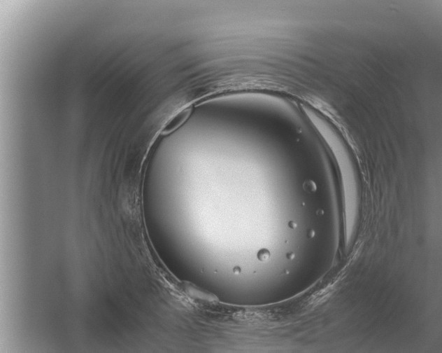 X0000058131089200509301946