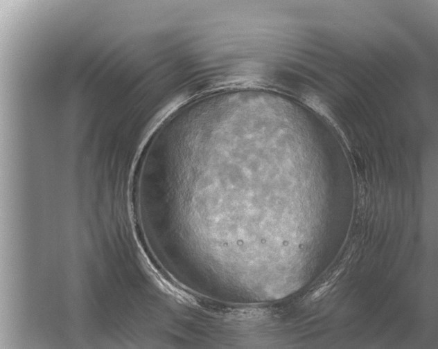 X0000058131090200509301946