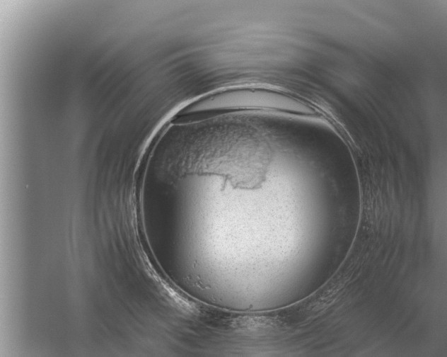 X0000058131092200509301946